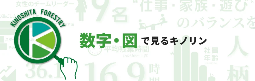 数字・図で見るキノリン